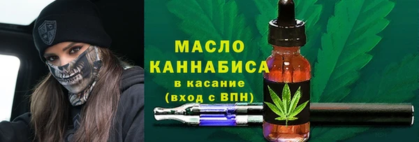 mix Бородино